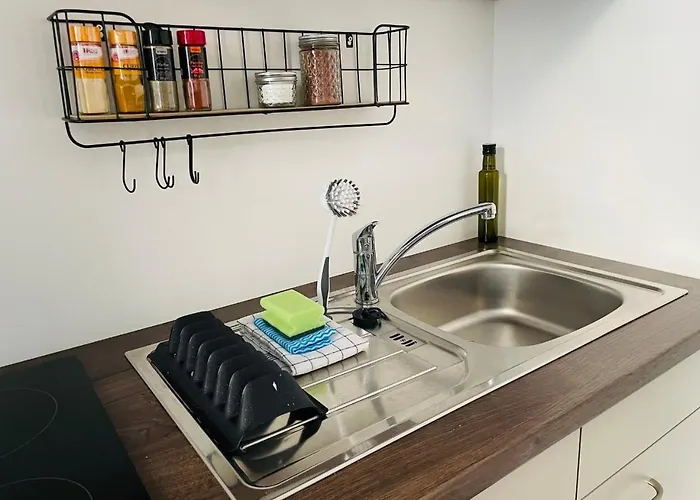 Apartment Altstadt 4 Personen Küche Netflix Location Pirna